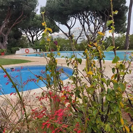 Apartmán Vieira 1 *